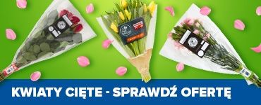 SG_kafel_kwiaty cięte_W12