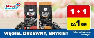 SG_węgiel_W18