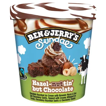 Ben & Jerry's Hazel-nuttin But Chocolate Lody 427 ml