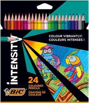 BIC Kredki Color Up 24 kolory