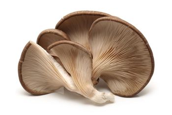 Boczniaki opakowanie 250 g