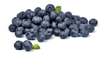 BORÓWKI 300G