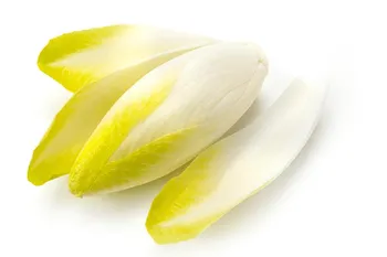 Cykoria żółta 500g