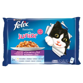 Felix Fantastic Junior Karma dla kociąt wybór smaków w galaretce 400 g (4 x 100 g)