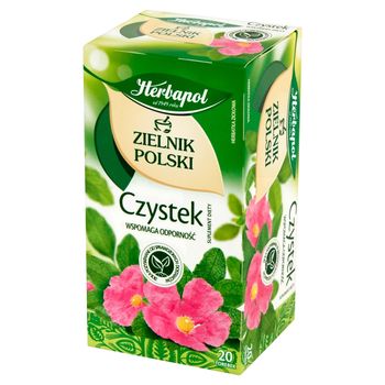 Herbapol Zielnik Polski Suplement diety herbatka ziołowa czystek 40 g (20 x 2 g)