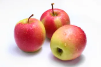 Jabłka Ligol ważone