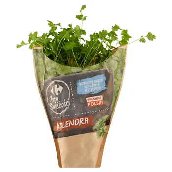 Carrefour Targ Świeżości Kolendra 