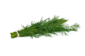 Koperek pęczek sztuka