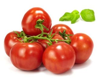 Pomidory gałązka ważone