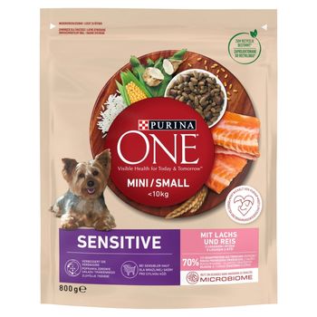 PURINA ONE Mini/Small Sensitive Karma dla psów z łososiem i ryżem 800 g