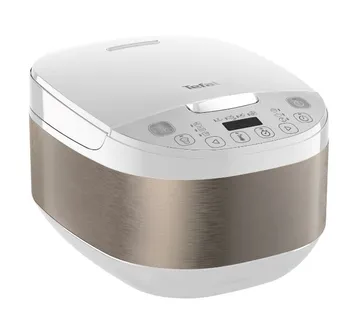Tefal Multicooker RK622130  4l 750W