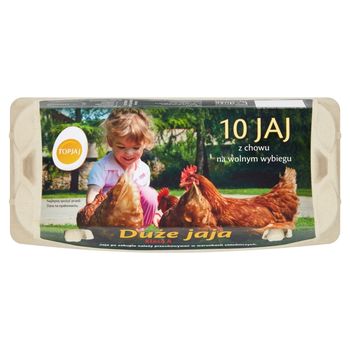 Top Jaj Jaja z chowu na wolnym wybiegu L 10 sztuk