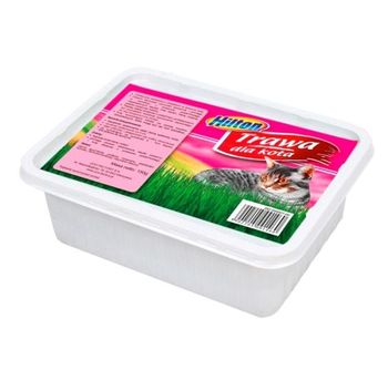 Trawa Szybko rosnąca dla Kota Hilton 150 g