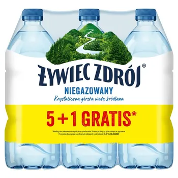 Żywiec Zdrój Niegazowany Woda źródlana 6 x 1 l