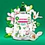 Air Wick Active Fresh Automatyczny odświeżacz powietrza wkład białe kwiaty 228 ml