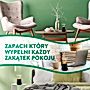 Air Wick Aroma Mist Automatyczny odświeżacz powietrza szczęście 20 ml