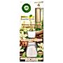 Air Wick Essential Oils Pachnące patyczki drzewo sanadałowe i zmysłowa wanilia 30 ml