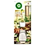 Air Wick Essential Oils Pachnące patyczki drzewo sanadałowe i zmysłowa wanilia 30 ml
