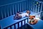 CHICCO KOLOROWY PROJEKTOR FOXY