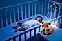 CHICCO KOLOROWY PROJEKTOR FOXY