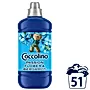 Coccolino Passion Flower & Bergamot Płyn do płukania tkanin koncentrat 1275 ml (51 prań)