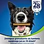 Dentalife Uzupełniająca karma dla dorosłych psów dla dużych ras 142 g (4 sztuki)