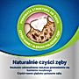 Dentalife Uzupełniająca karma dla dorosłych psów dla małych ras 115 g (7 sztuk)
