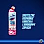 Domestos Power Fresh Floral Fresh Żel do toalet 700 ml