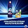 Domestos Przedłużona Moc Original Płyn czyszcząco-dezynfekujący 1 l