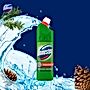 Domestos Przedłużona Moc Pine Fresh Płyn czyszcząco-dezynfekujący 1 l