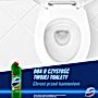 Domestos Przedłużona Moc Pine Fresh Płyn czyszcząco-dezynfekujący 1 l