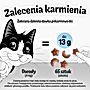 Felix Crispies Przekąski o smaku łososia i pstrąga 45 g