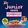 Felix Fantastic Junior Karma dla kociąt wybór smaków w galaretce 340 g (4 x 85 g)