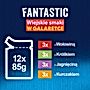 Felix Fantastic Karma dla kotów wiejskie smaki w galaretce 1,02 kg (12 x 85 g)