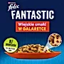 Felix Fantastic Karma dla kotów wiejskie smaki w galaretce 340 g (4 x 85 g)