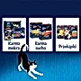 Felix Fantastic Karma dla kotów wybór smaków w galaretce 340 g (4 x 85 g)