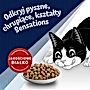Felix Countryside Sensations Karma sucha dla kota z wołowiną kurczakiem i warzywami 1 kg