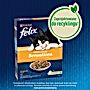 Felix Farmhouse Sensations Karma sucha dla kota z kurczakiem indykiem i warzywami 1 kg