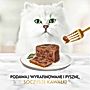 Gourmet Gold Karma dla kotów pasztet z kawałkami królika 85 g