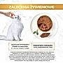 Gourmet Gold Karma dla kotów pasztet z kawałkami królika 85 g