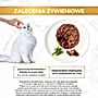 Gourmet Gold Karma dla kotów savoury cake z jagnięciną i zieloną fasolą 85 g