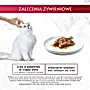Gourmet Mon Petit Intense Karma dla kotów delikatne kawałki w pysznym sosie 6 x 50 g