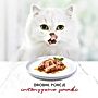 Gourmet Mon Petit Intense Karma dla kotów delikatne kawałki w pysznym sosie 6 x 50 g