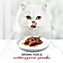 Gourmet Mon Petit Intense Karma dla kotów delikatne kawałki w pysznym sosie 6 x 50 g