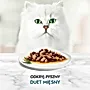 Gourmet Perle Karma dla kotów duet 340 g (4 x 85 g)