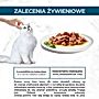 Gourmet Perle Karma dla kotów mini fileciki w sosie 340 g (4 x 85 g)