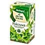 Herbapol Zielnik Polski Herbatka ziołowa pokrzywa 30 g (20 x 1,5 g)