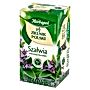 Herbapol Zielnik Polski Herbatka ziołowa szałwia 24 g (20 x 1,2 g)