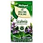 Herbapol Zielnik Polski Herbatka ziołowa szałwia 24 g (20 x 1,2 g)