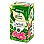 Herbapol Zielnik Polski Suplement diety herbatka ziołowa czystek 40 g (20 x 2 g)